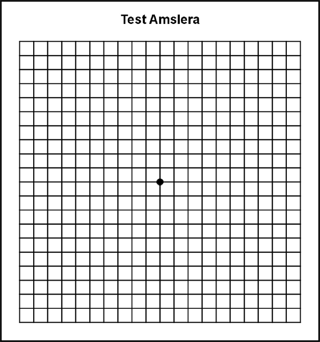 тест амслера