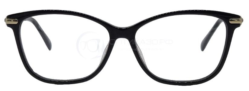 Оправа Pierre Cardin 8480 с футляром