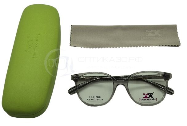 Оправа Barracuda BS 812428 с футляром