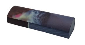 Футляр R-H 8039 25 котята