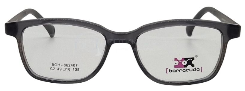Оправа Barracuda BGH 862407 с футляром
